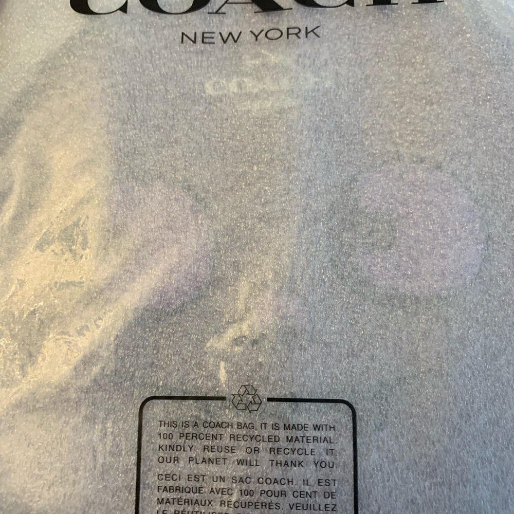 💜🦇Coach Halloween bat crossbody bag purse canteen 2024 NEW IN PACKAGE 🦇💜 - Picture 7 of 10